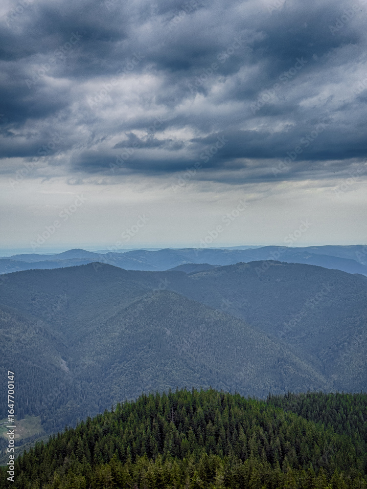 Fototapeta premium A somber Carpathian landscape, majestic and timeless under cloudy skies.