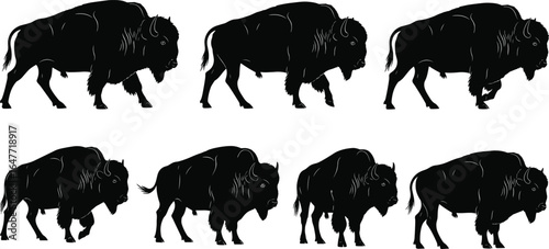 Black bison vector illustration, American buffalo silhouette, wildlife animal set, grazing and walking poses, nature, wild mammal, outdoor wildlife, strong mammal icon