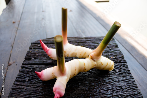 Galangal,herb,spices