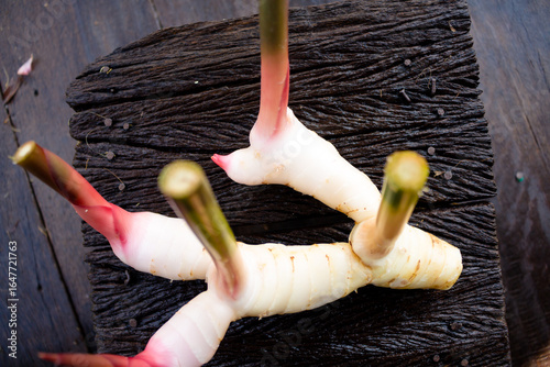 Galangal,herb,spices