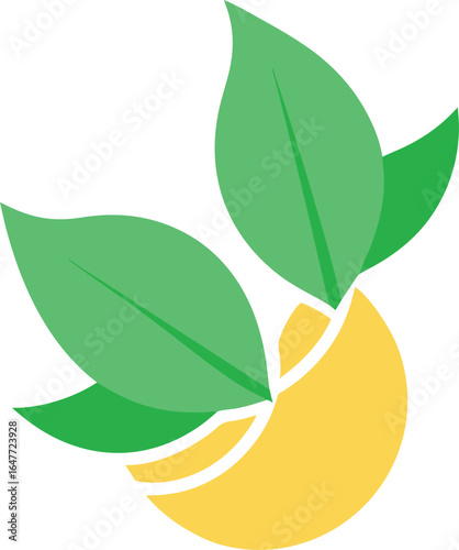 Citrus Mint Leaf Rhythm