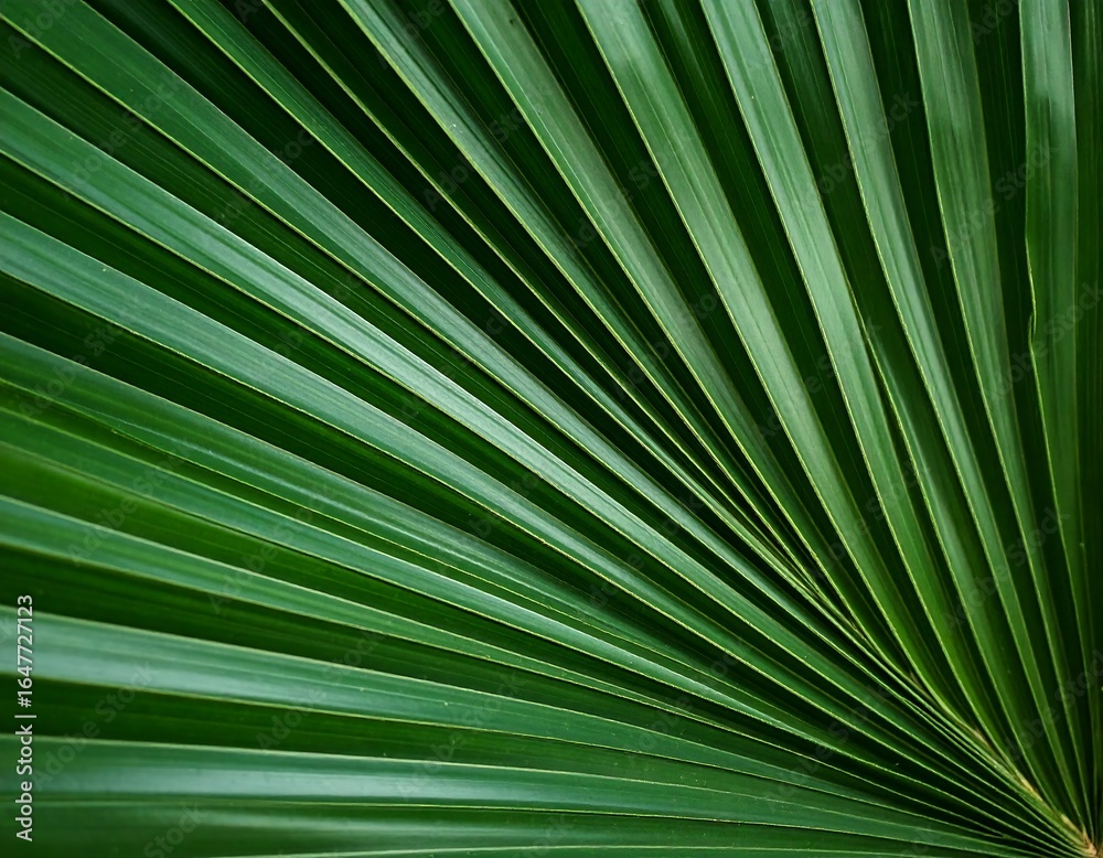 Obraz premium Close-up of vibrant green palm frond (2)