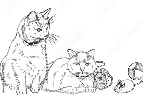 Vector composition with pets, siamese cats, ball of thread, ball and mouse for pets to play. All objects are hand-drawn with ink. For printing in veterinary clinics, for the design of pet products.