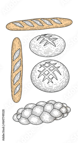 Artistic depiction of various baked breads including baguettes round loaves and a braided sweet bread