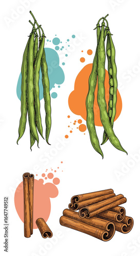 Fresh green beans and cinnamon sticks a natural healthy food combination for culinary use
