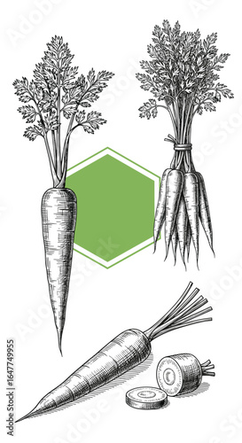 Freshly harvested root vegetables showcasing organic farming and healthy eating benefits