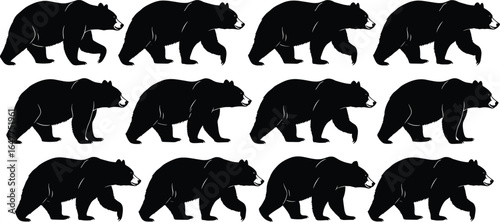 Walking bear silhouette vector illustration, wildlife black bear movement sequence, forest animal clipart, nature scene, predator animation design for print and digital