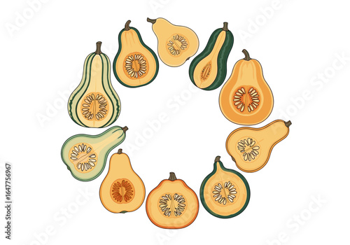 A whimsical arrangement of colorful autumn squash varieties showcasing their diverse textures and seeds in a circular pattern