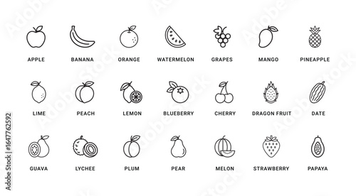 Fruits line icon set. Vegetables and berries. Vector illustration,