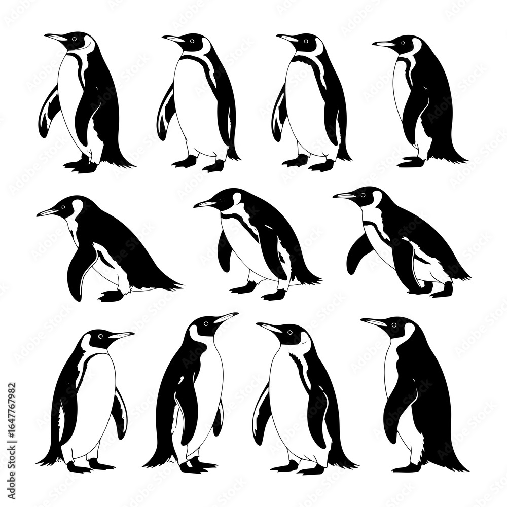 Fototapeta premium Black and white penguins in various poses illustration standing