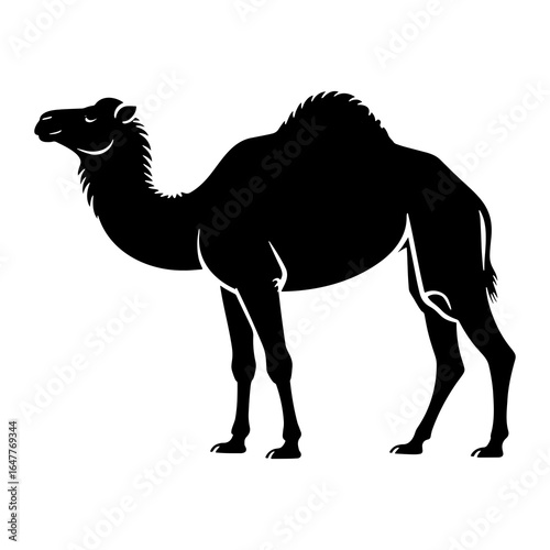 Black silhouette of a camel standing dromedary animal