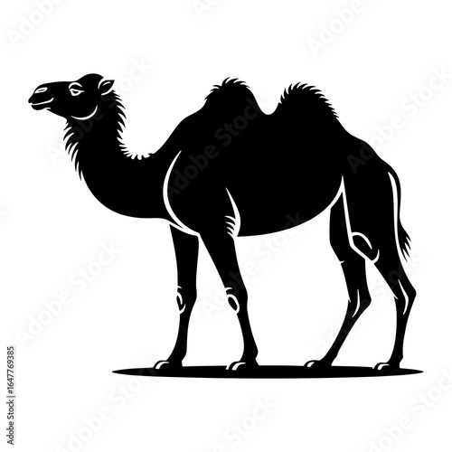 Black silhouette of a dromedary camel standing animal