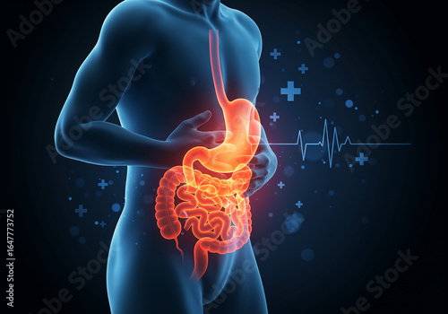 Medical 3D illustration of human digestive tract (stomach, intestines) with highlighted pain or inflammation, depicting gastrointestinal issues