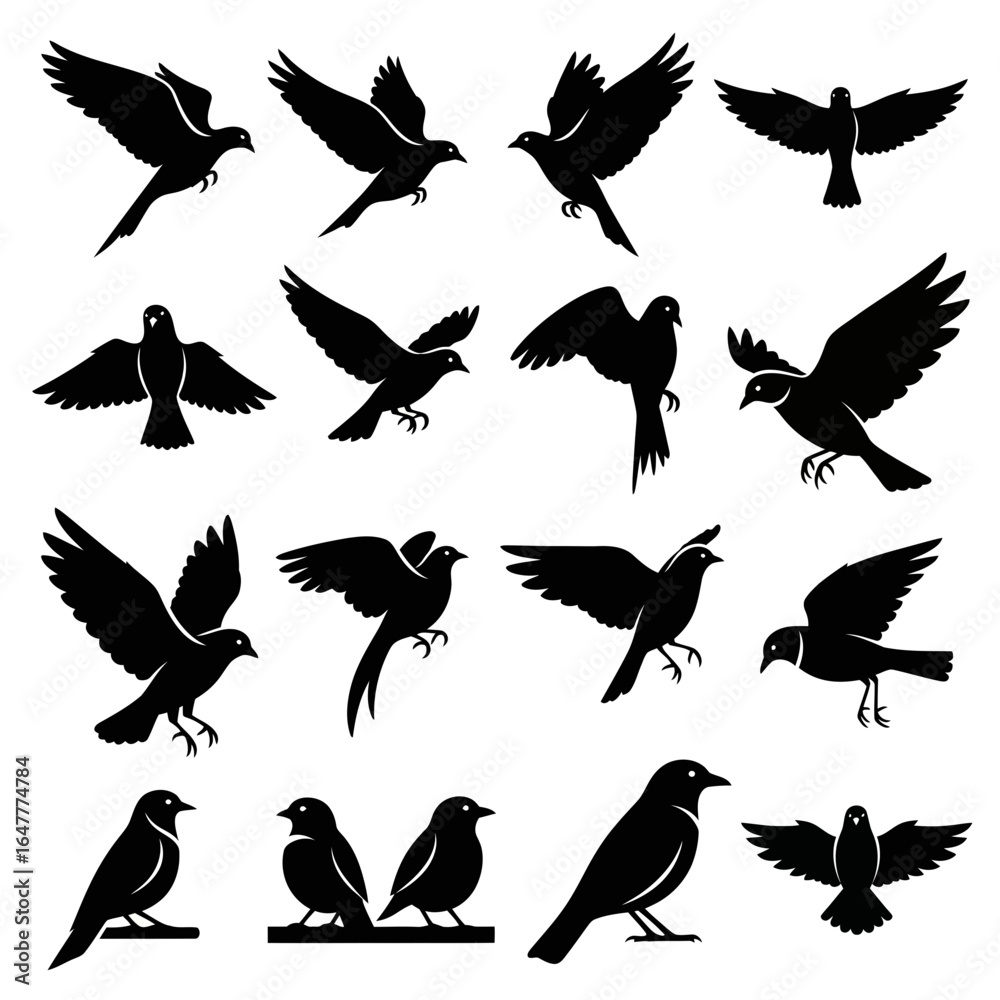 Obraz premium A collection of various bird silhouettes, depicting different species in flight and perched positions.