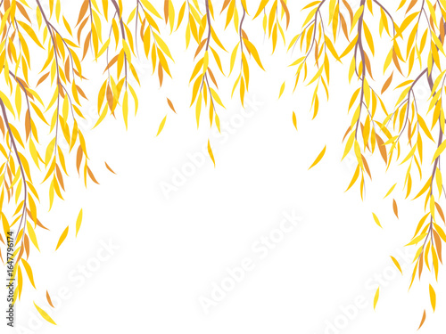 Vector Background with Autumn Weeping Willow Branches.