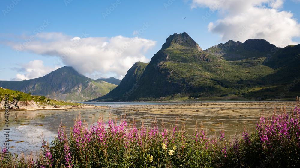 Naklejka premium Norwegen