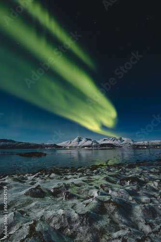 Aurora Borealis glows above Norway Malangen Fjord in Troms, painting the starry night with green light. Snow-covered peaks and icy shores create a true Arctic dreamscape