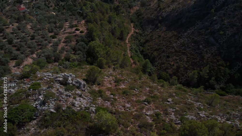 Aerial view of olive trees and rocky landscape in Costa Blanca, Spain