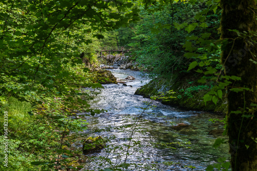 The beautiful Vintgar Gorge near Bled in Slovenia, Europe
