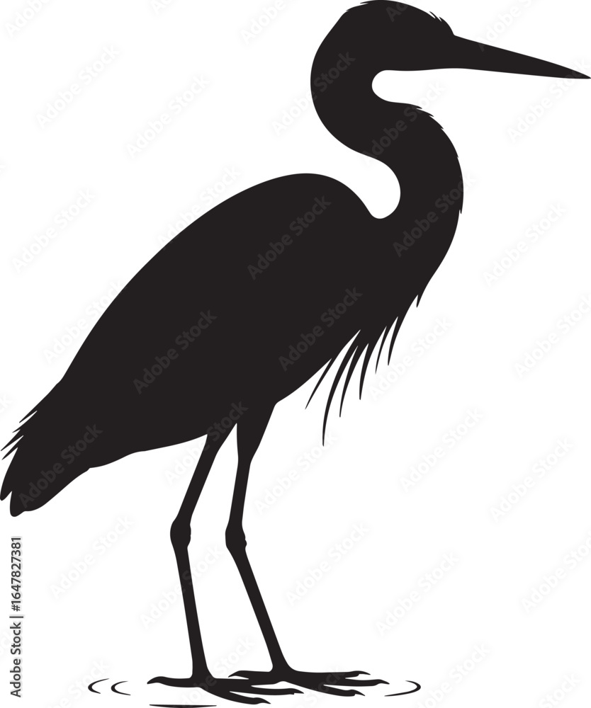 Fototapeta premium Black silhouette of a wading bird standing in shallow water white