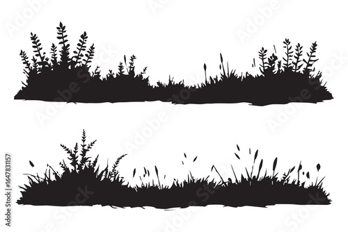 Silhouette of Grass and Plant: A minimalist, high-contrast silhouette of lush grass and delicate plant arranged against a clean background.