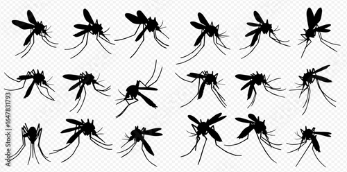 A collection of black mosquito silhouettes in various dynamic poses against a transparent background.