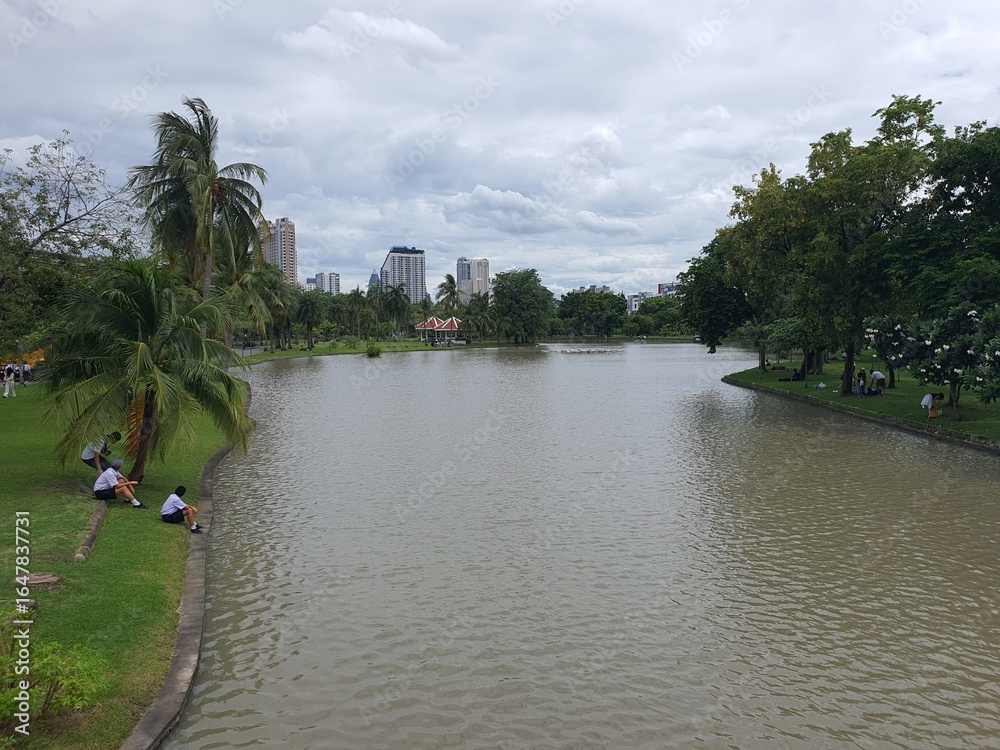 Fototapeta premium river in the park
