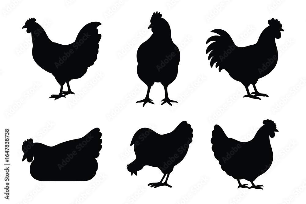 Fototapeta premium Chicken silhouette set isolated on white background