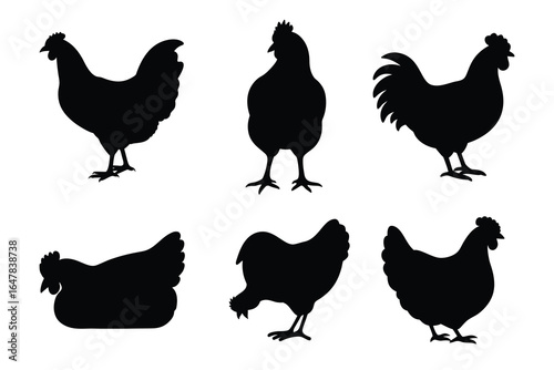 Chicken silhouette set isolated on white background  
