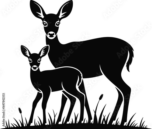 Mother doe and fawn standing in grass deer baby