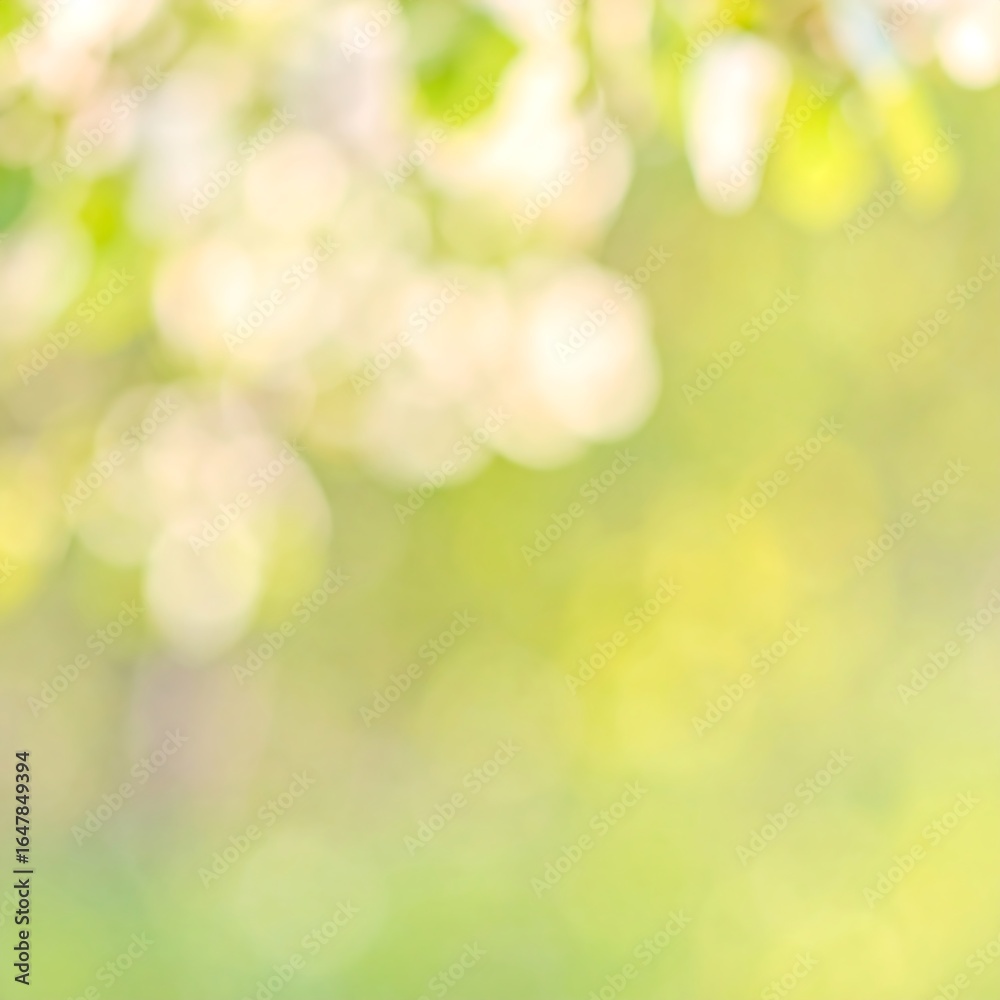 Obraz premium Blurred spring blossoms and foliage