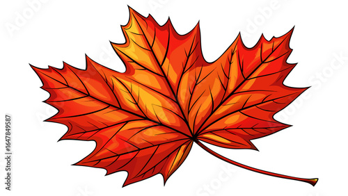 Red maple leaf close up isolated on black background autumn fall season on