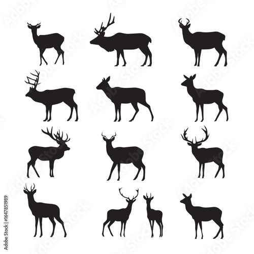 vector illustration of deer silhouette set, Black & White silhouette set 