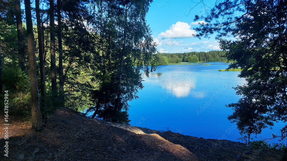 Obraz premium Serene lakeside view with lush trees reflecting in the calm water under a blue sky