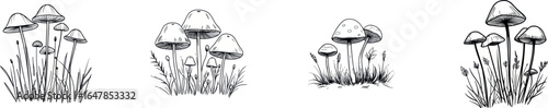 A simple line drawing of mushrooms on white is perfect for printing on posters and banners in a grocery store setting