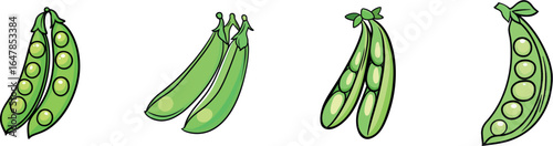 A white isolated background showcases a basic one-line drawing of a pea, designed for printing on grocery store banners and posters