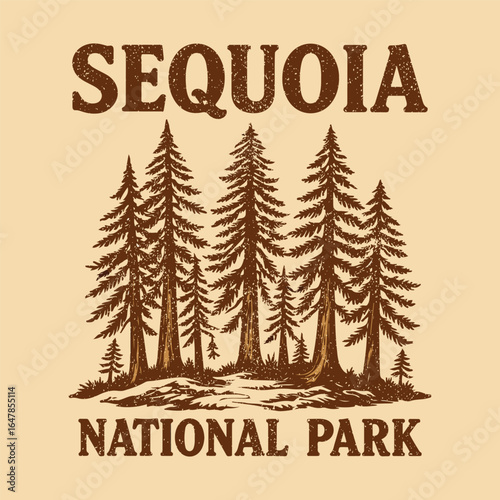 Sequoia National park design for t-shirt, vintage hand drawn and more.  vector graphic print design for apparel, sticker, poster, background and others. Adventure t-shirt design for tourism
