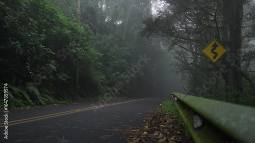 Curve warning sign along misty forest highway