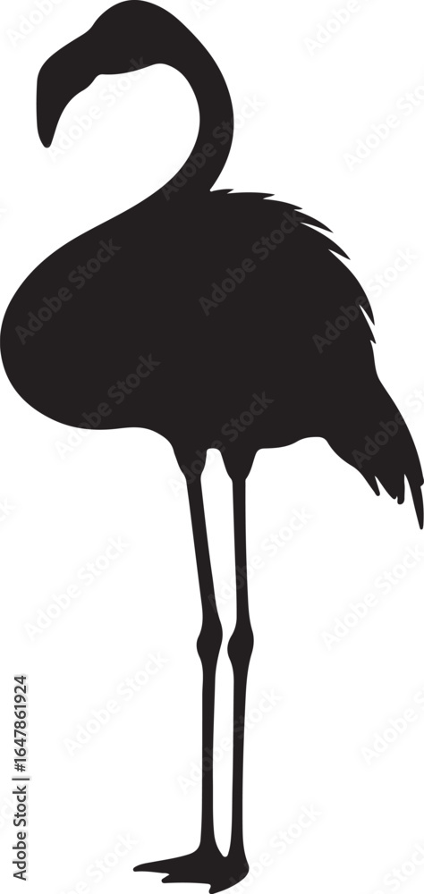 Obraz premium Flamingo in silhouette on white background