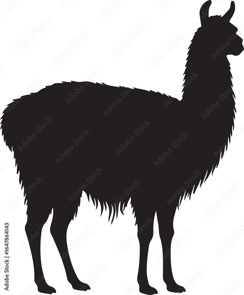 Fototapeta premium Llama in silhouette on white