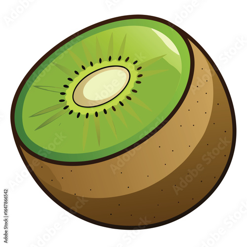 Half Kiwi Fruit Isolated on White Background - Vector Illustration