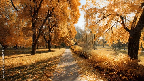 Serene autumn pathway surrounded by vibrant orange foliage  