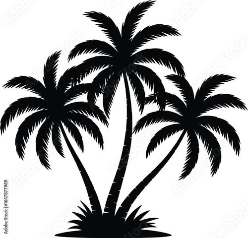 Black silhouette of tropical palm trees vector