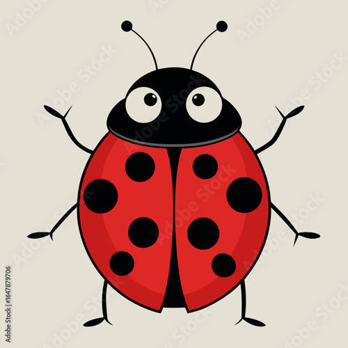 ladybug on white background