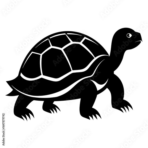 turtle vector illustration