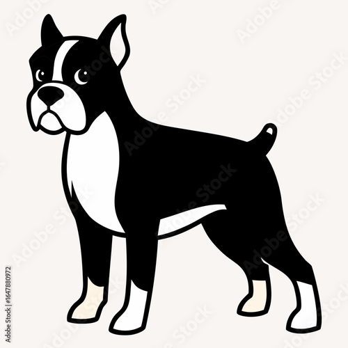 french bulldog vector illustration