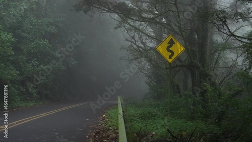 Close view of winding road sign in fog