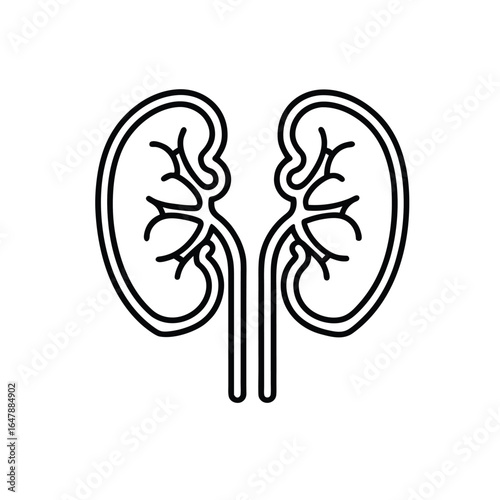 Minimalist Line Drawing of Paired Human Kidneys with Ureters, Renal Pelvis, Calyces, and Blood Vessels in Black and White Outline Style