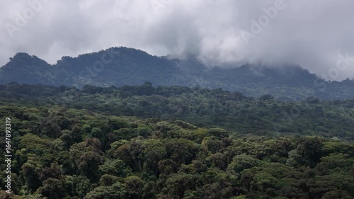 Clouds hugging emerald mountain ridges above rainforest