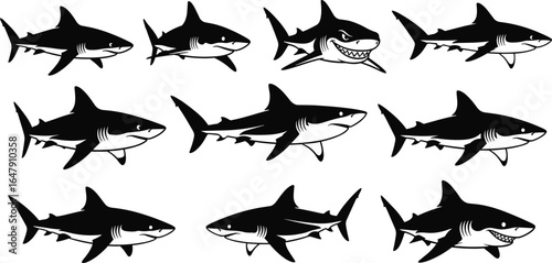 Cartoon Shark Vector Collection, Marine Life Illustration, Ocean Predator Graphics, Educational Design Elements, Children’s Book Art, Adobe Stock Asset